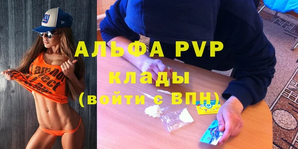 ECSTASY Абаза